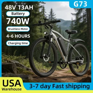 Electric Bike for Adults